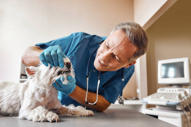 Best Emergency Wisdom Tooth Extraction in Phenix City, AL